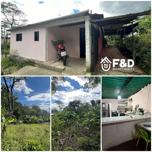 CASA DE CAMPO EN VÍA DELICIAS – EL DIAMANTE