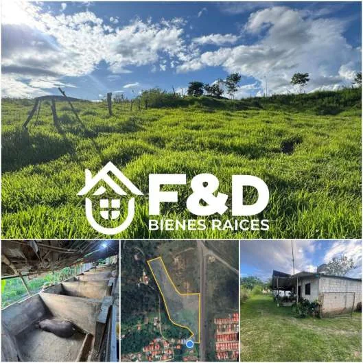 FINCA PRODUCTIVA EN RUBIO – EL HOYITO