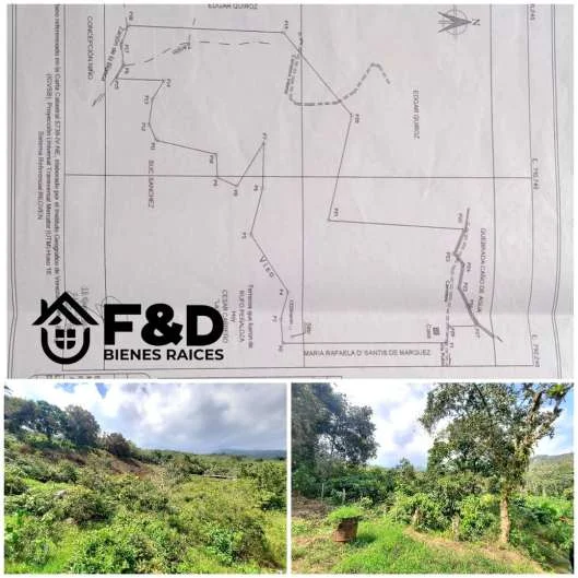 FINCA EN RUBIO – SECTOR CAÑO DE AGUA
