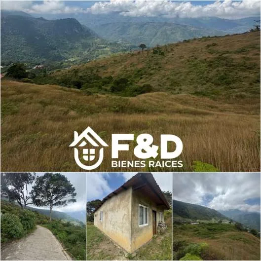FINCA EN RUBIO – ALDEA PALMA Y OSO