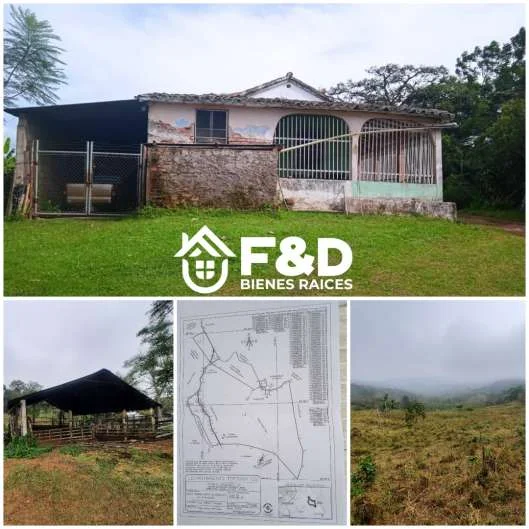 FINCA EN RUBIO – ALINEADERO