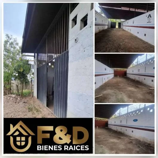 DOS GALPONES COMERCIALES EN RUBIO – BOLIVIA VIEJA