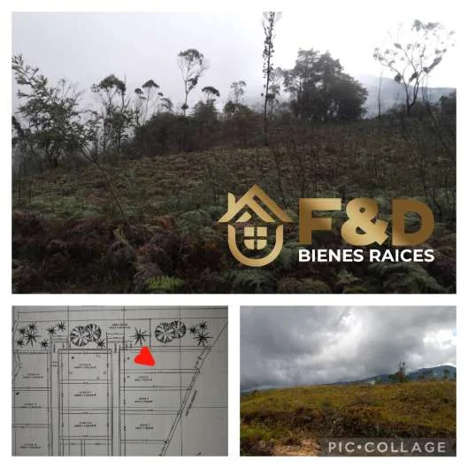 TERRENO EN CASA EL PADRE – SECTOR LOS BALONES DE LA PEDRAGOZA