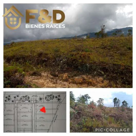 TERRENO EN CASA EL PADRE – SECTOR LOS BALONES DE LA PEDRAGOZA