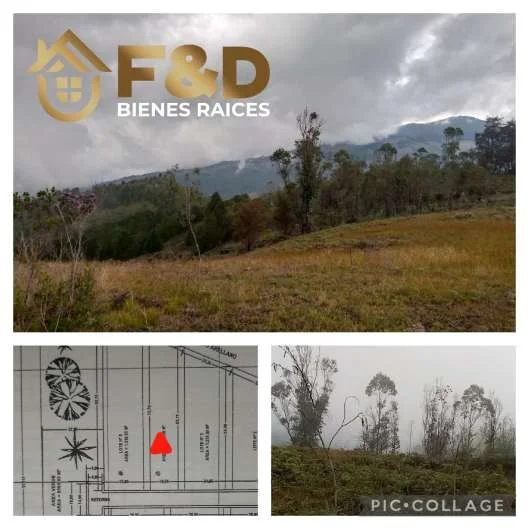 TERRENO EN CASA EL PADRE – SECTOR LOS BALONES DE LA PEDRAGOZA