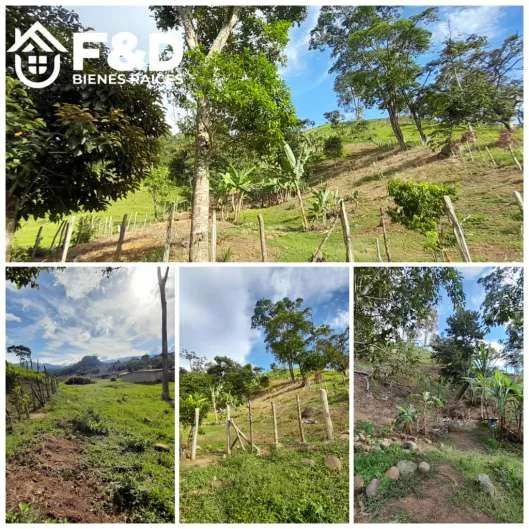 TERRENO EN RUBIO – BOLIVIA NUEVA