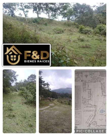 TERRENO EN LOBATERA – LA TAMUCA