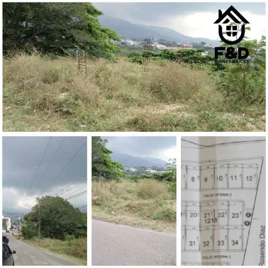 TERRENO EN PALO GORDO – GALLARDÍN