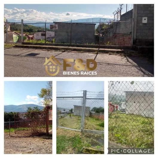 TERRENO EN TARIBA – ARJONA