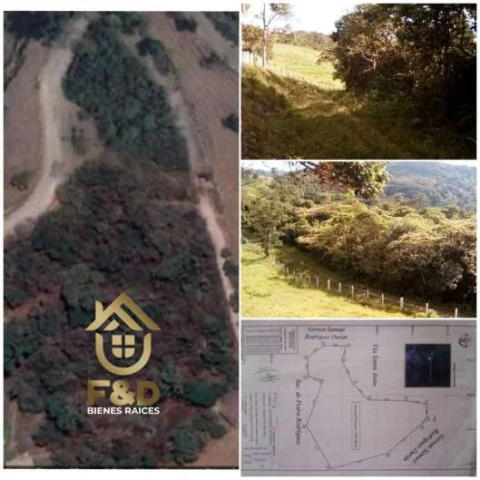 TERRENO EN CAPACHO VIEJO – CARRETERA PRINCIPAL SANTA ANITA