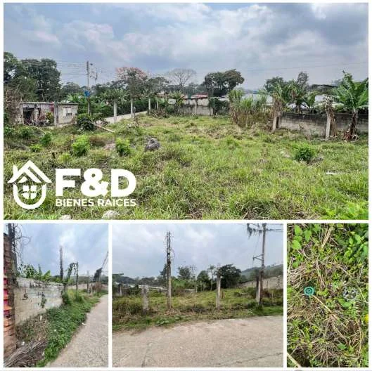 TERRENO EN RUBIO – BOLIVIA