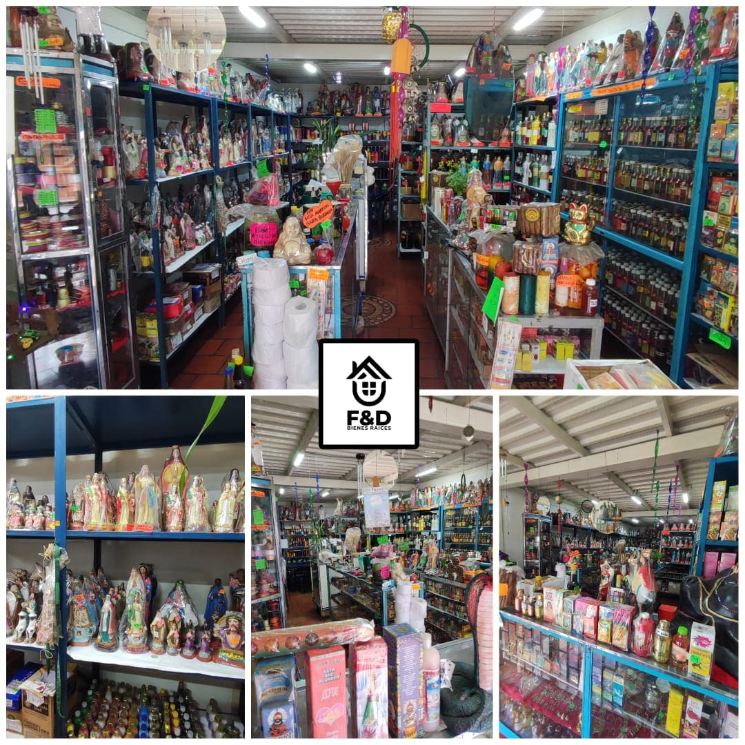 MOBILIARIO E INVENTARIO VARIADO DE NEGOCIO MÍSTICO