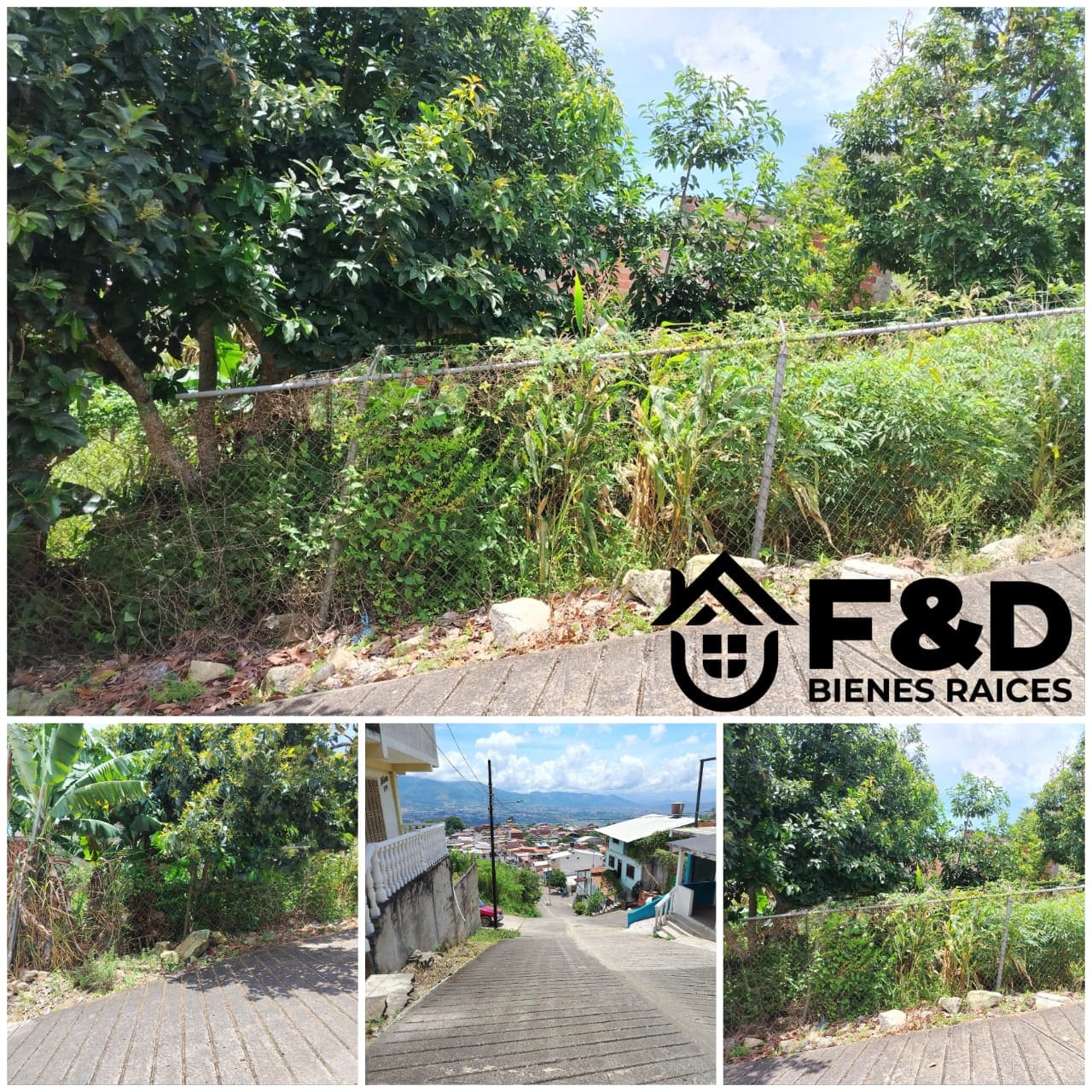 PARCELA EN MUNICIPIO GUÁSIMOS