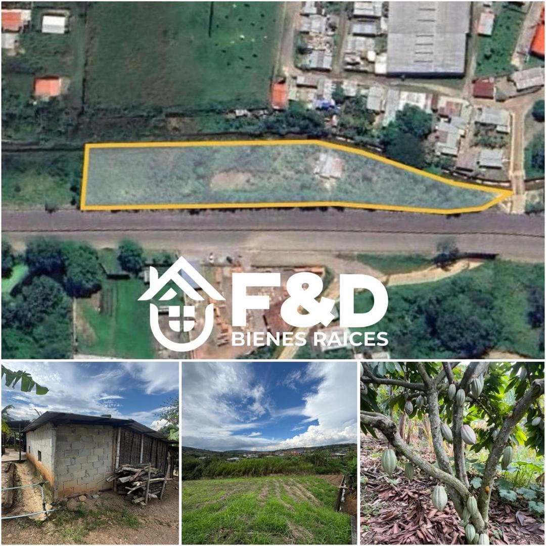 PARCELA PRODUCTIVA EN SECTOR LA AUTOPISTA