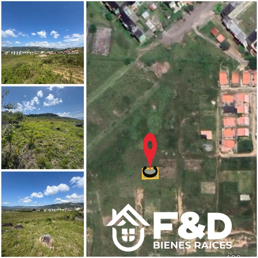 EN EL SECTOR LOS PALONES