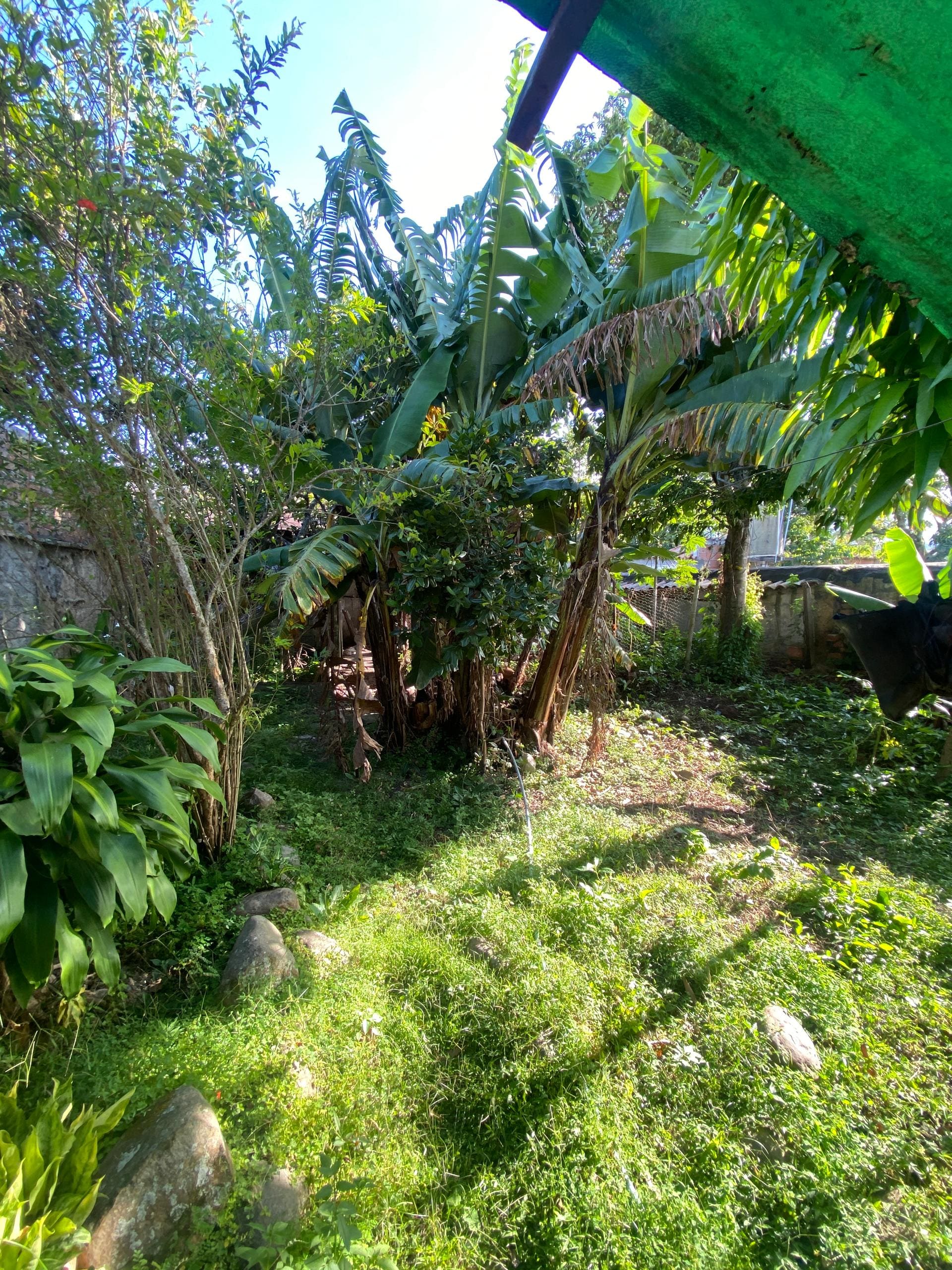 Imagen de la propiedad