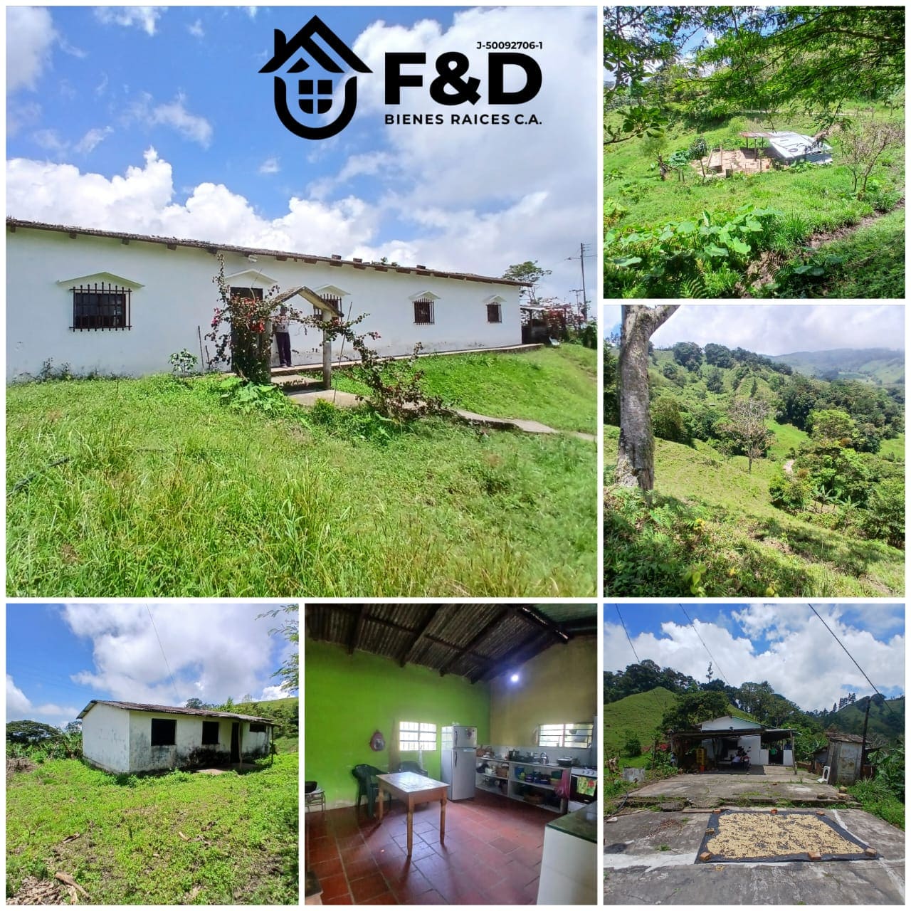 FINCA GANADERA DOBLE PROPÓSITO EN EL SECTOR LAS QUEBRADAS