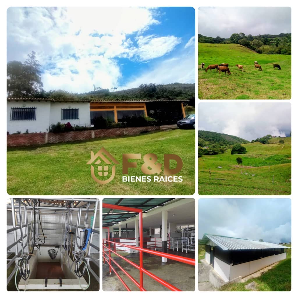 FINCA UBICADA CAPACHO