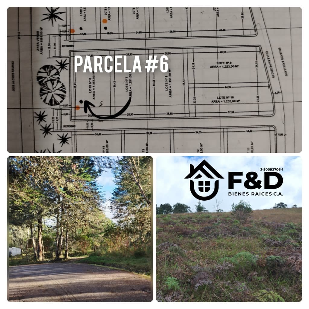 PARCELA UBICADA EN CORDERO