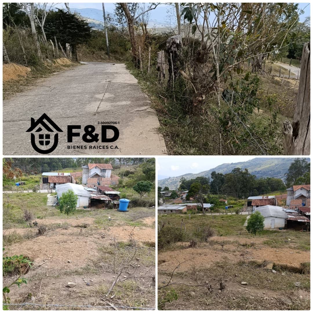 TERRENO UBICADO CAPACHO NUEVO