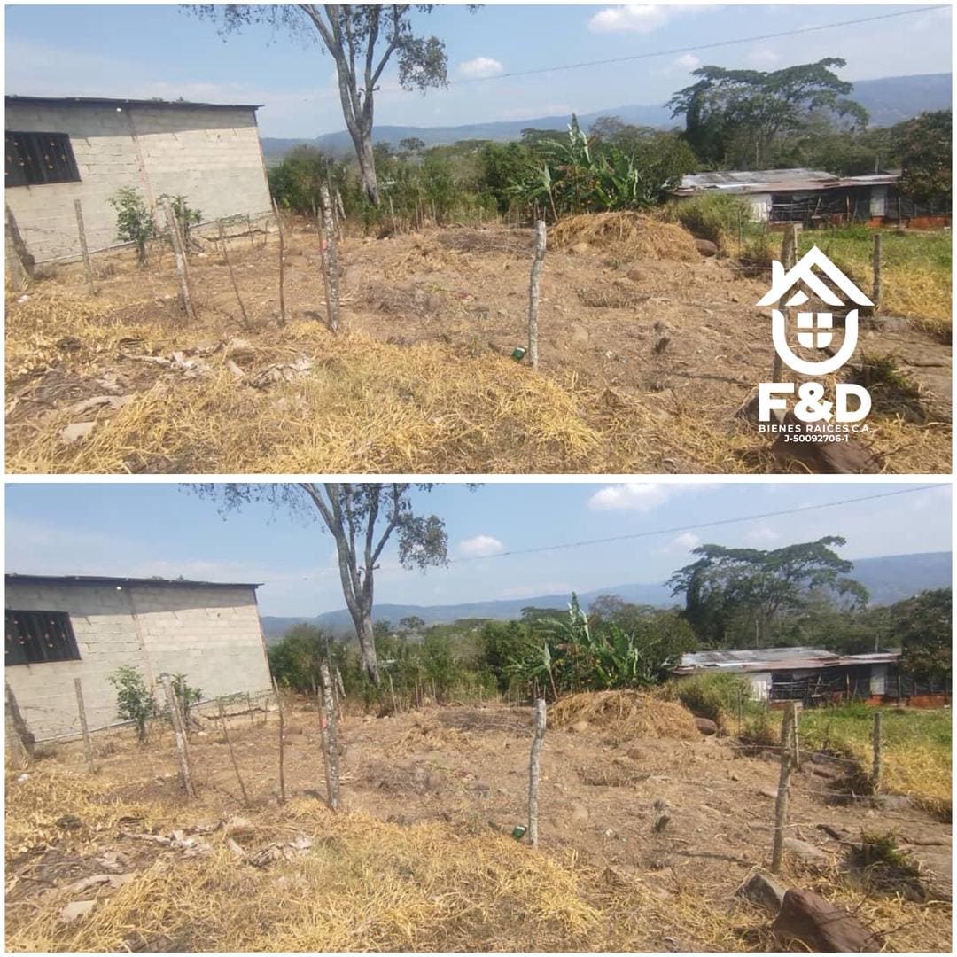 TERRENO EN RUBIO