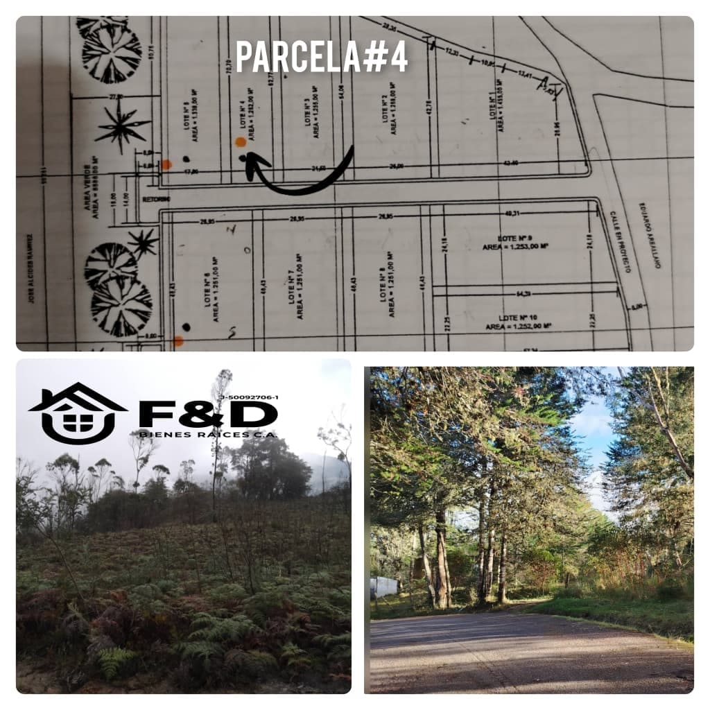PARCELA UBICADA EN CORDERO