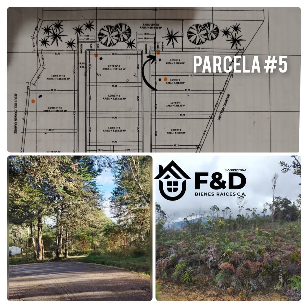 PARCELA UBICADA EN CORDERO
