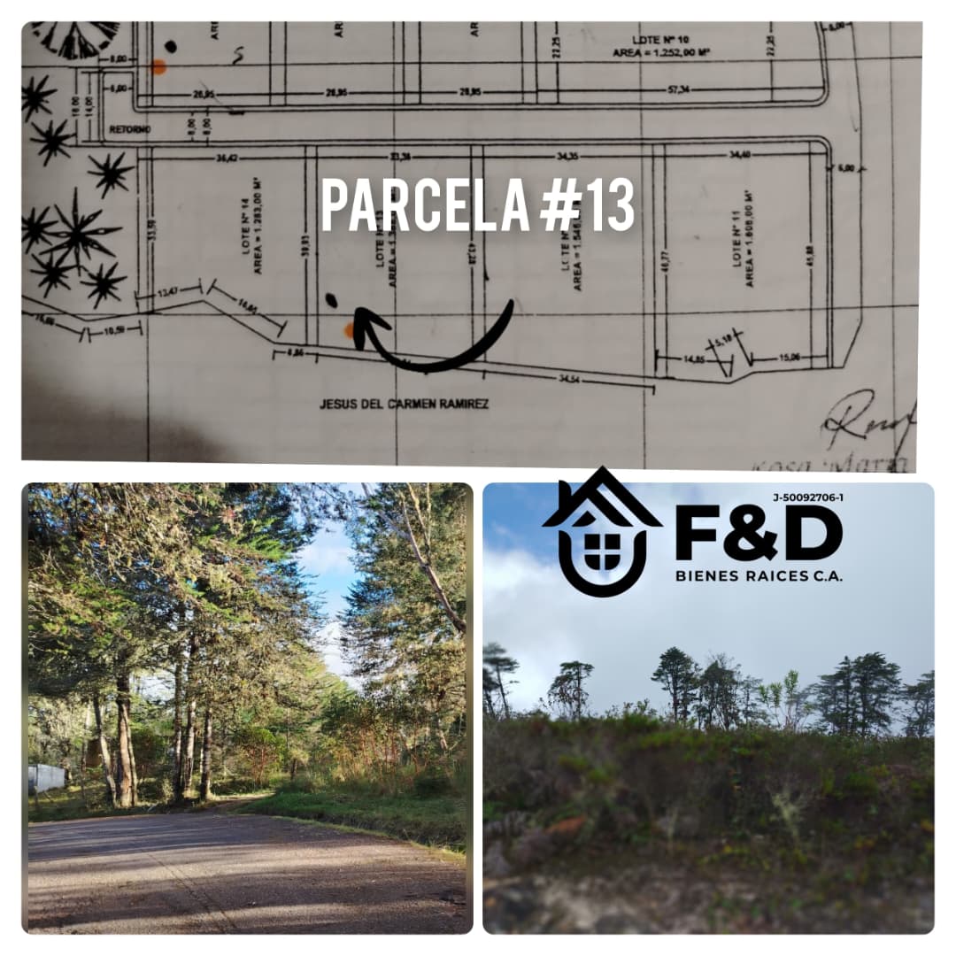 PARCELA UBICADA EN CORDERO