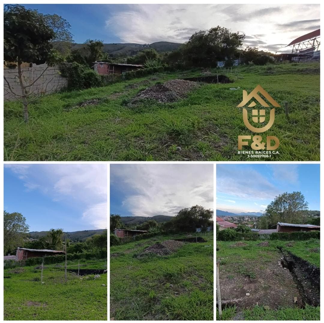 TERRENO UBICADO EN MCPIO. CAPACHO NUEVO