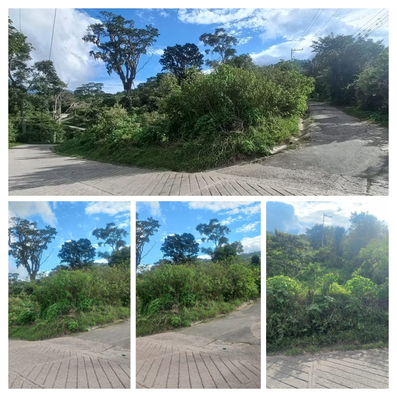 VENTA DE TERRENO MUNICIPIO ANDRES BELLO