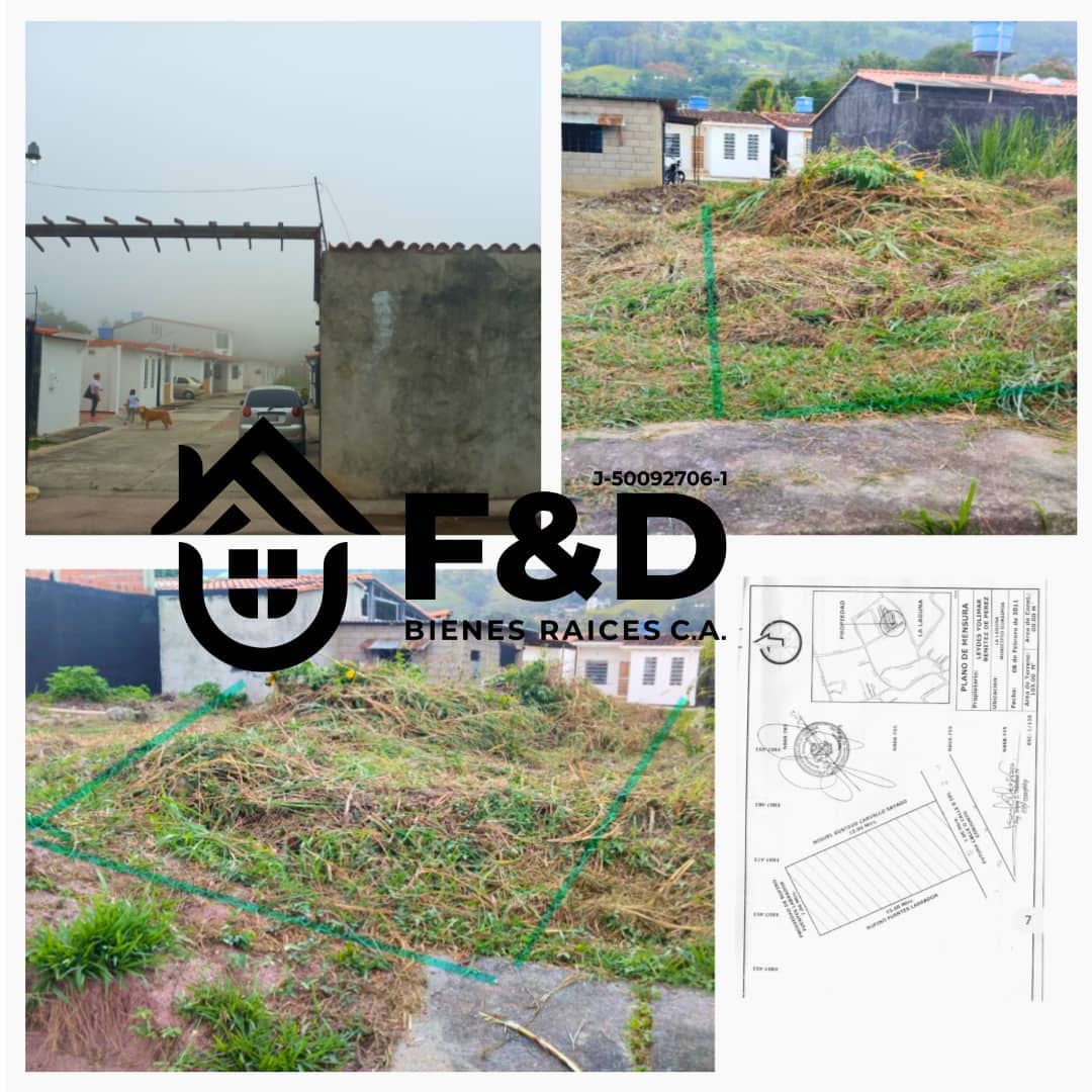 TERRENO UBICADO EN EL MUNICIPIO GUÁSIMOS