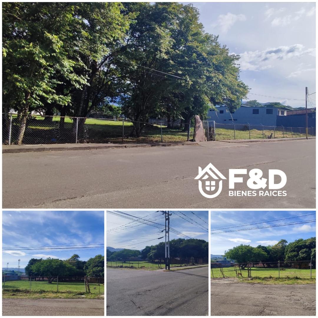 TERRENO EN SAN MARTIN, RUBIO.